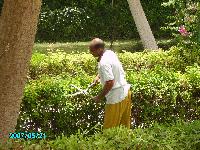 waves �������