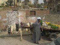 ����� �����