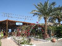 Dreams Beach. �����-����