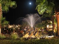 Dreams Beach. Night view