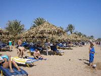 ���� ������ �������