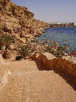 Dreams Beach. ��������, ������� � �����