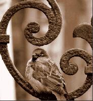 �������