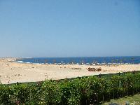 ��� �� ����������� �����