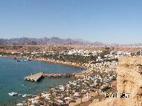 ���� "�������"