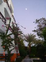 ����� ������ ����