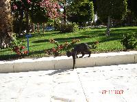 ������� ������