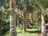 ������� �������� ����� � ������