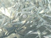 ������� ����