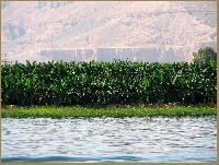 ��������� ����