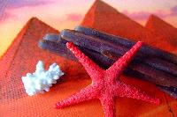 ���� �������� ����