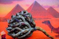 ���� �����2