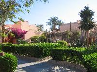 ����� ������ ���