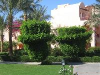 ������ ���