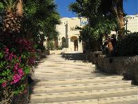 ����� ������ ���