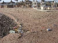 ���� ����� ���