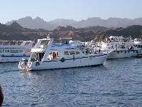 ������ � ����� ����-���-�����