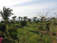 ��� �� ����