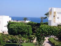 ��� �� ������