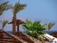 ����. ��� �� �. �����