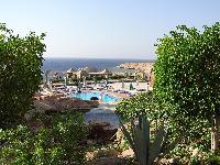 ������� ����� �����