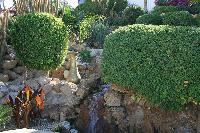 �� ����������