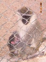 ������, ������ 2008 �.