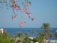 ��� �� ����