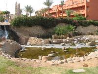 ���� � ��������