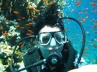 � �������� �������� ����