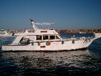 ������ � ����� ����-���-�����