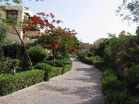 Iberotel Makadi Saraya 5*