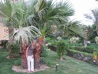 Iberotel Makadi Saraya 5*