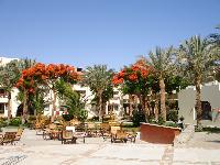 Grand Plaza. ���������� ������ � ���������.