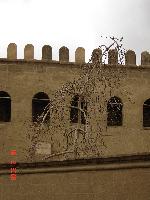 ������ ��������� ���