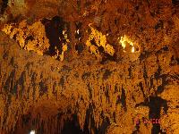 ���� "��������"