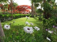 Iberotel Makadi Saraya 5*