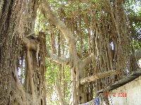 �������� �������