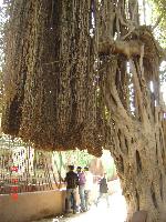 �������� �������