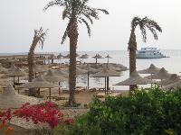 ���� � 7 ����