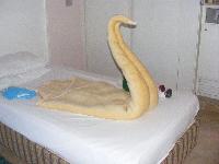 ����-������