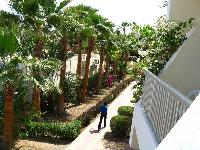 ���������� �����