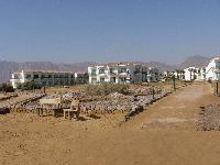 Domina Elaria Nuweiba