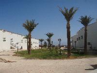 Domina Elaria Nuweiba
