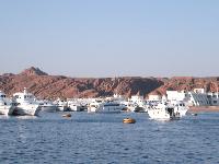 ������ � ����� ����-���-�����