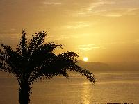 Coral Beach Tiran 