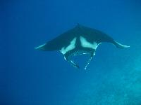 ���� 2008�.