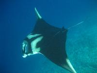 ���� 2008�.