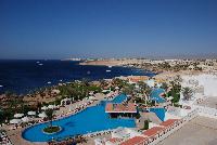 ���� 2008�.