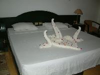 ��� ��������